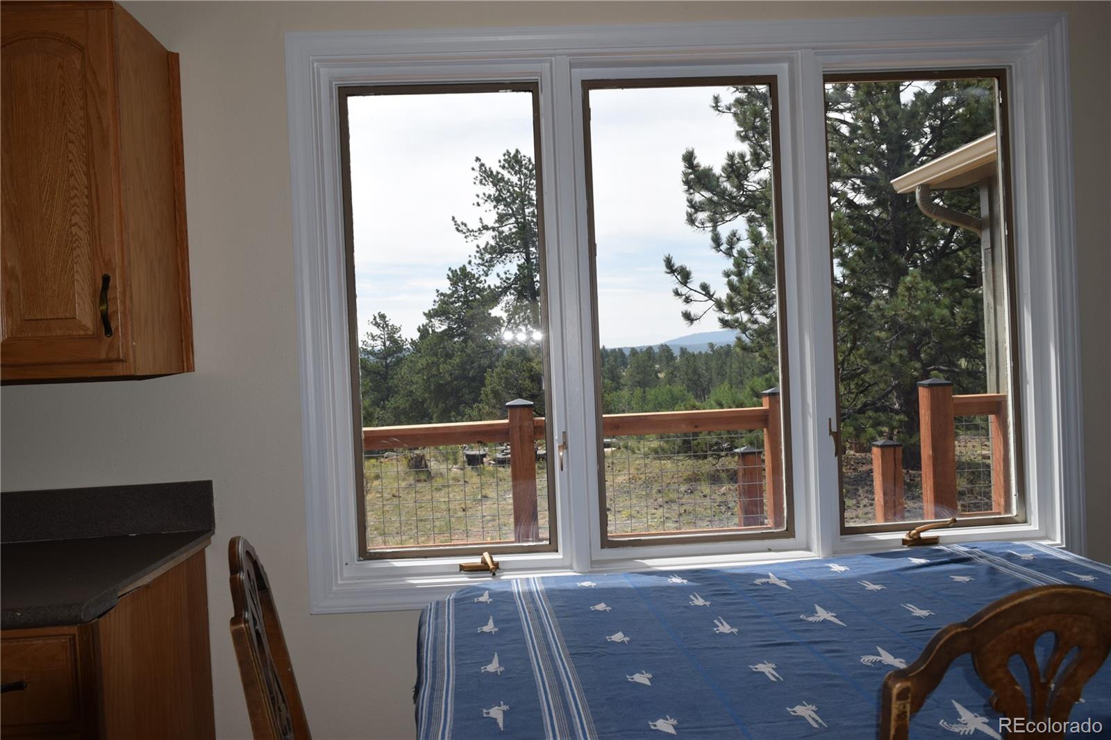 MLS Image #16 for 1651  aspen trail,hartsel, Colorado
