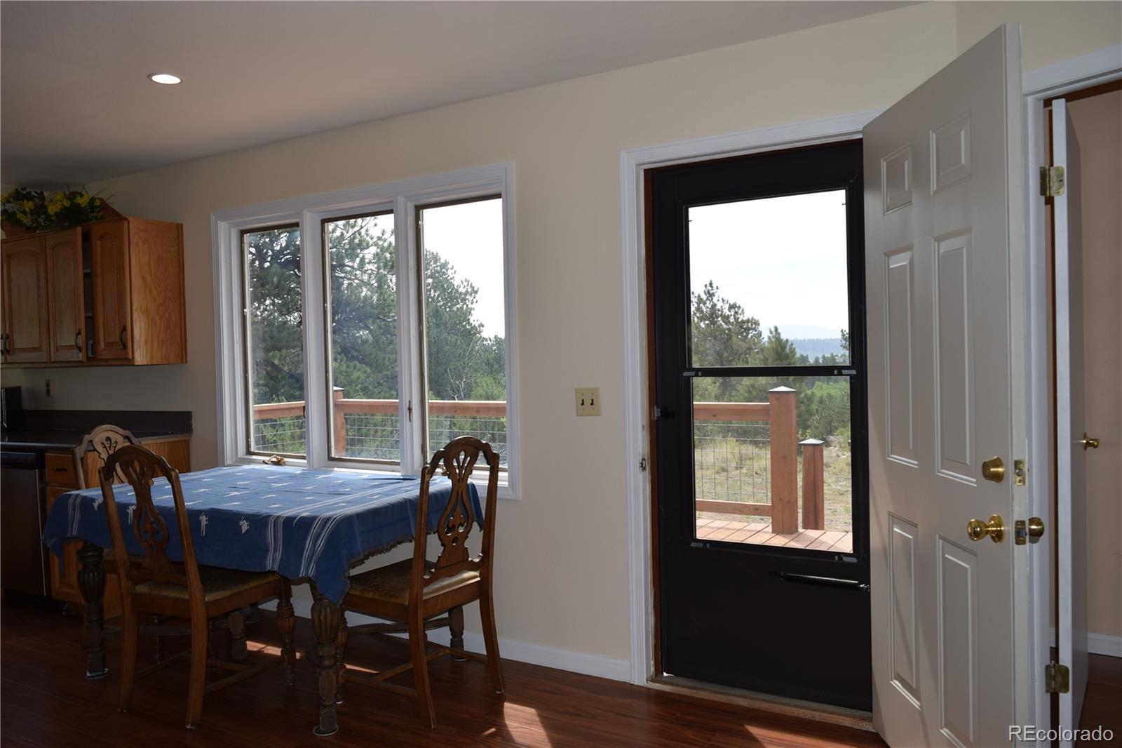 MLS Image #17 for 1651  aspen trail,hartsel, Colorado