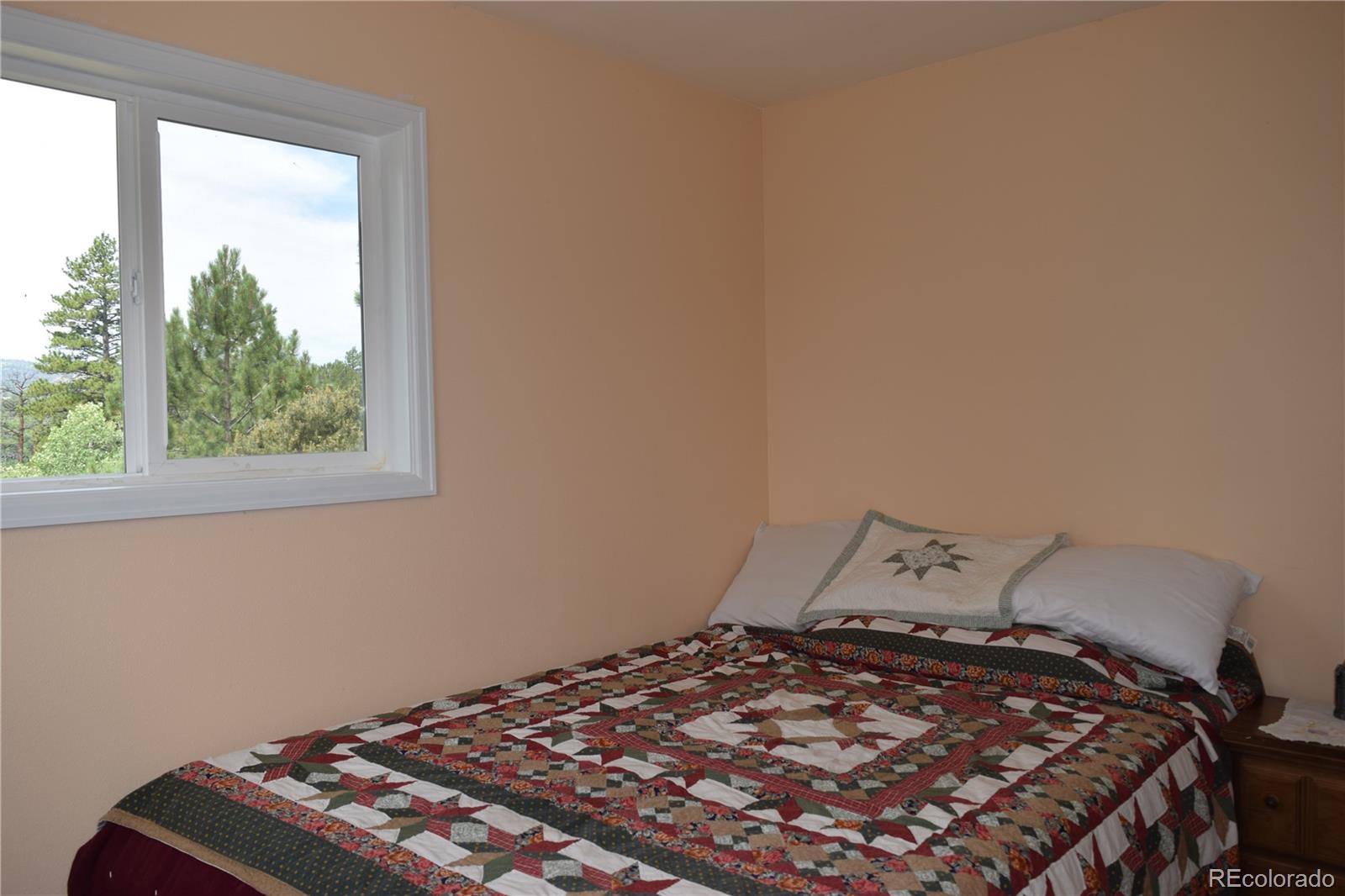 MLS Image #19 for 1651  aspen trail,hartsel, Colorado