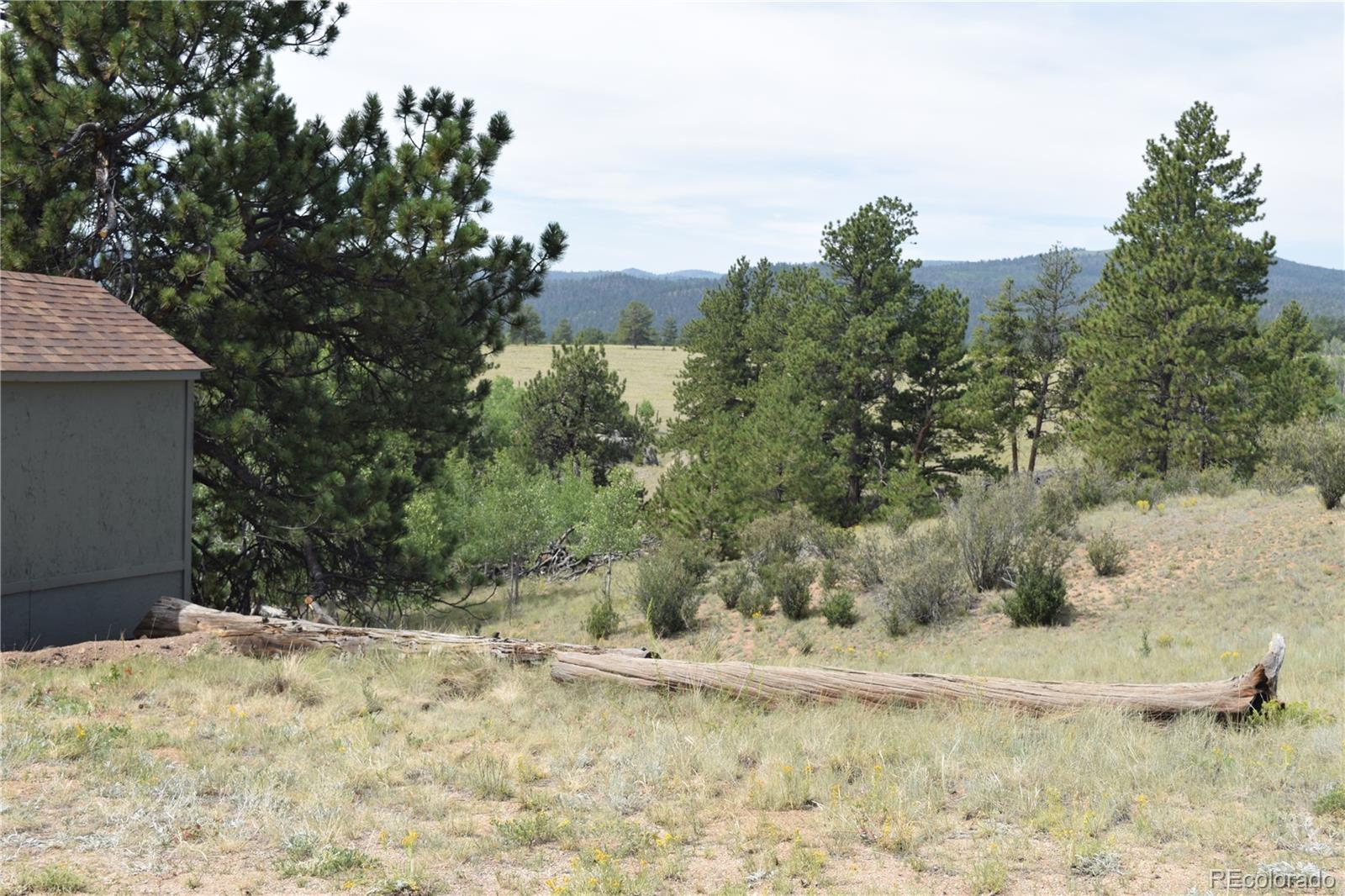 MLS Image #25 for 1651  aspen trail,hartsel, Colorado