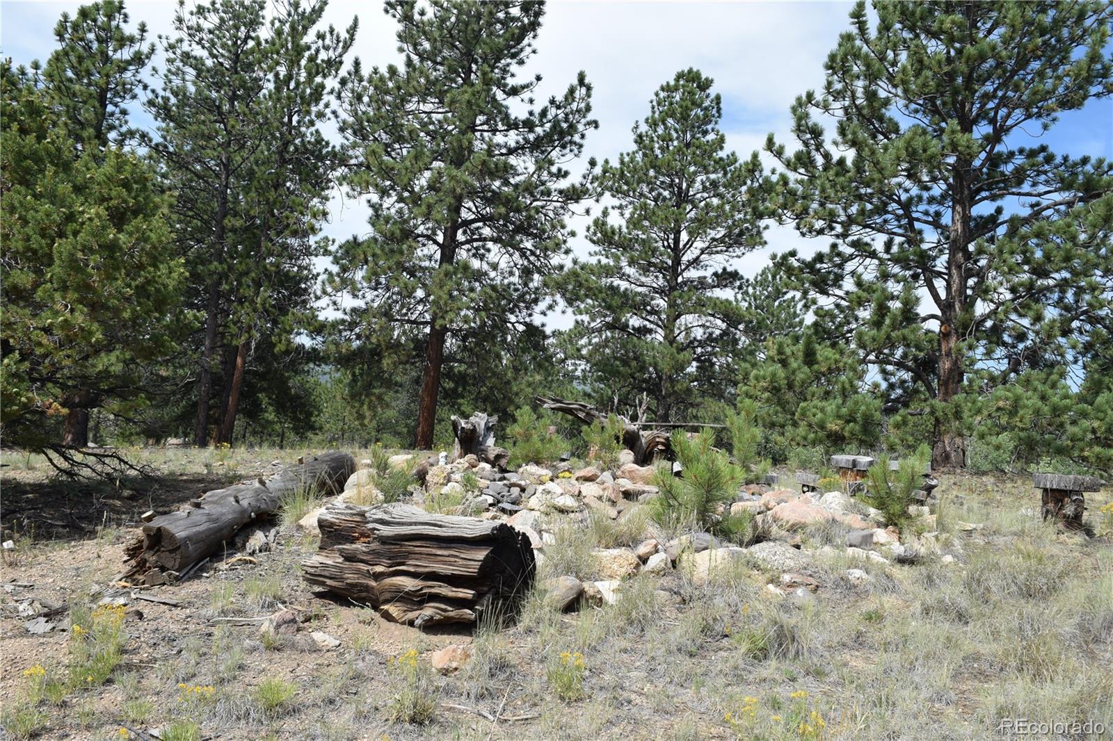 MLS Image #26 for 1651  aspen trail,hartsel, Colorado