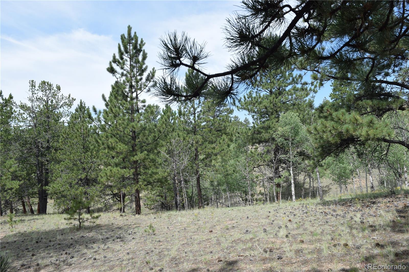 MLS Image #27 for 1651  aspen trail,hartsel, Colorado