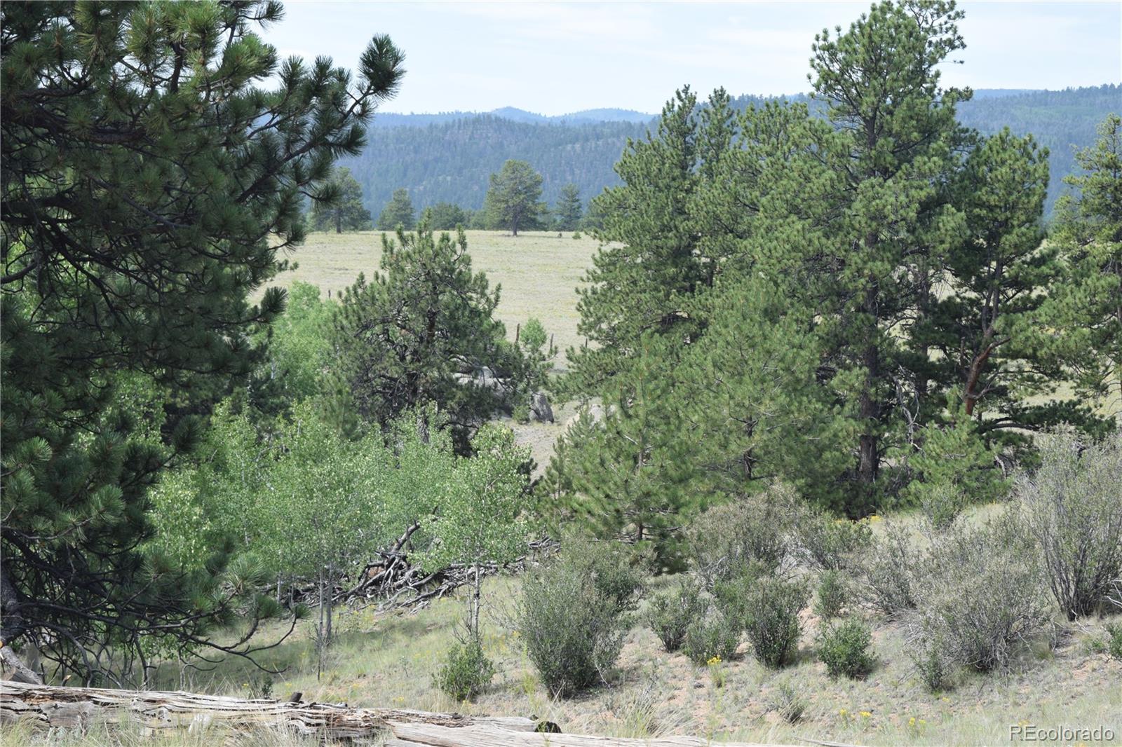 MLS Image #29 for 1651  aspen trail,hartsel, Colorado