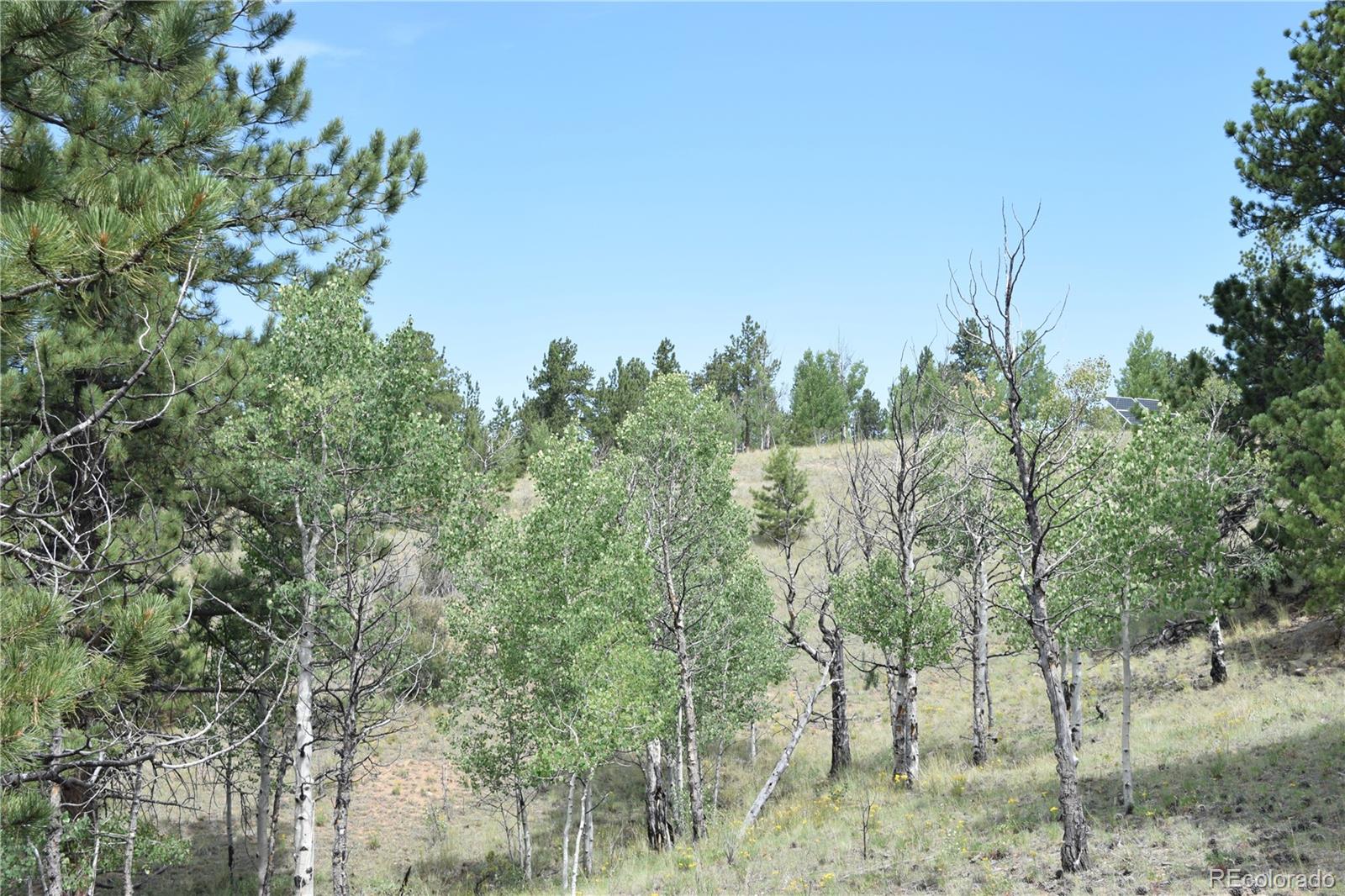 MLS Image #30 for 1651  aspen trail,hartsel, Colorado