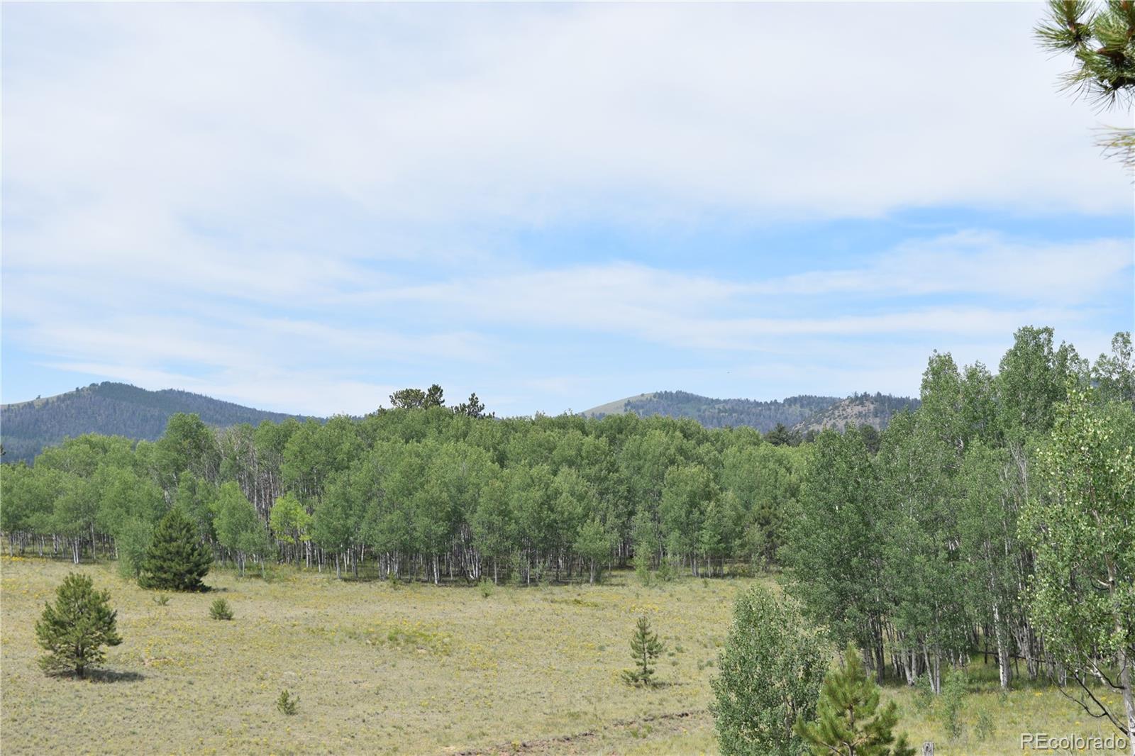 MLS Image #33 for 1651  aspen trail,hartsel, Colorado