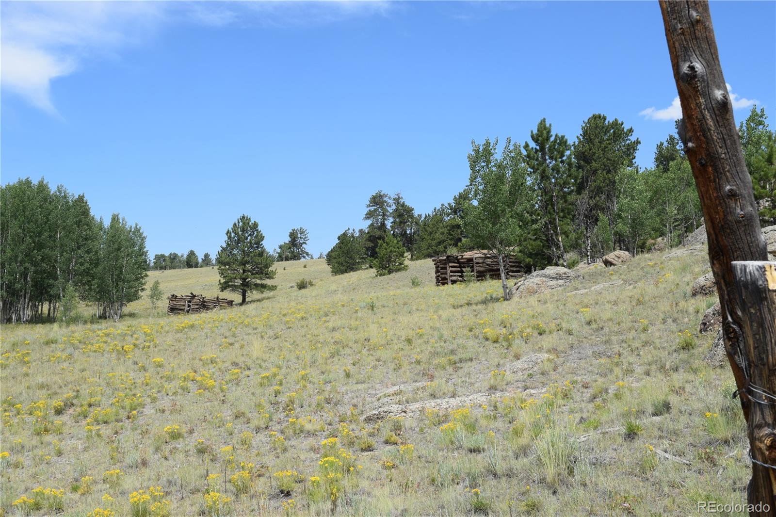 MLS Image #36 for 1651  aspen trail,hartsel, Colorado