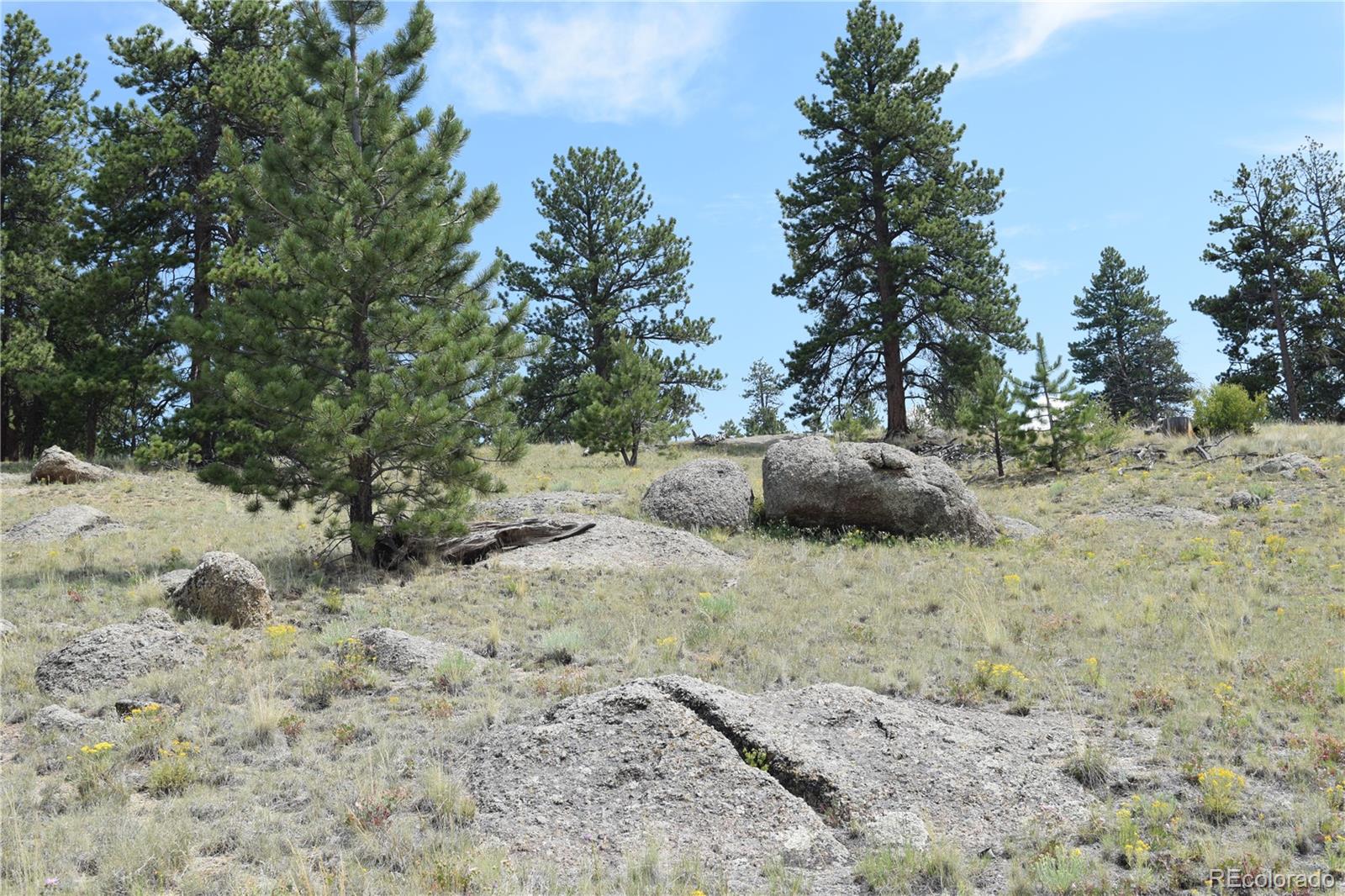 MLS Image #39 for 1651  aspen trail,hartsel, Colorado