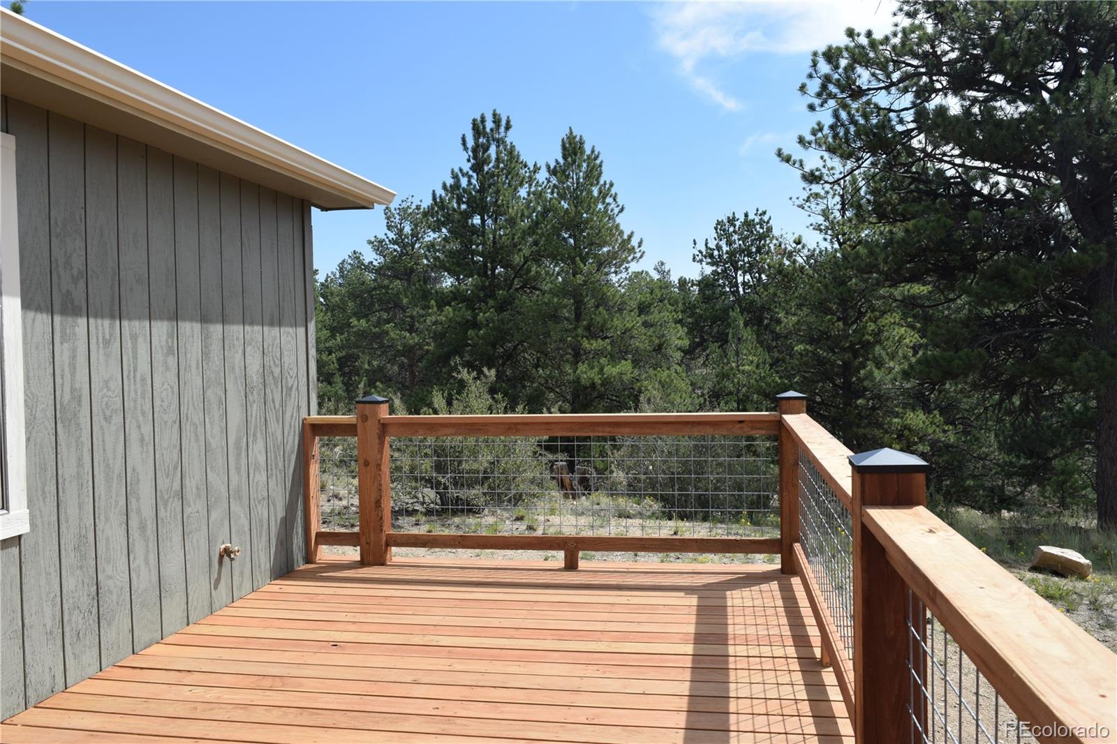 MLS Image #6 for 1651  aspen trail,hartsel, Colorado