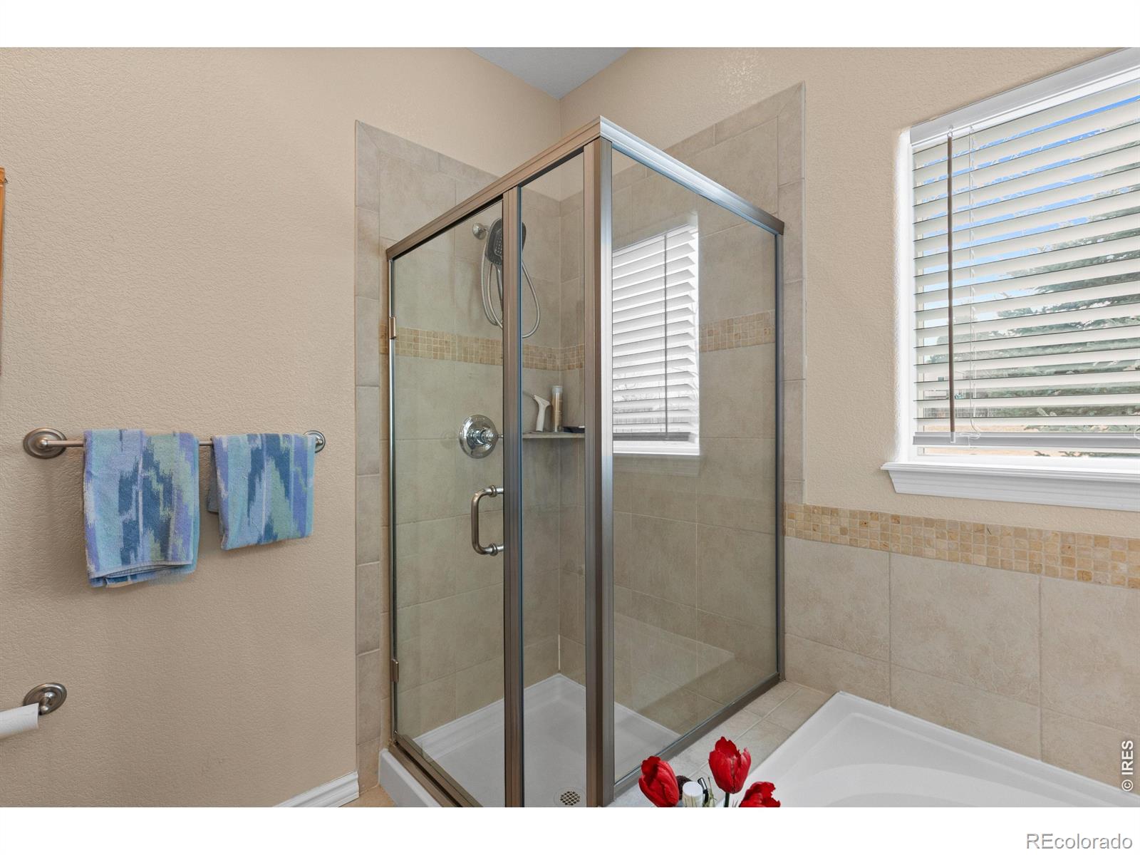 MLS Image #35 for 8588 w 93rd court,broomfield, Colorado