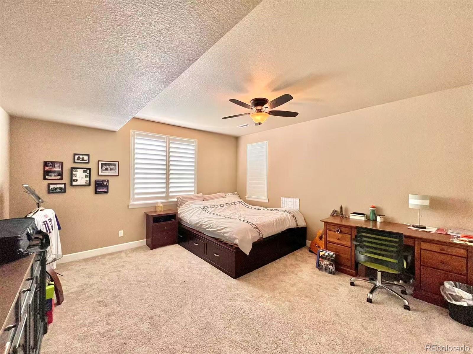MLS Image #19 for 10615  montecito drive,lone tree, Colorado