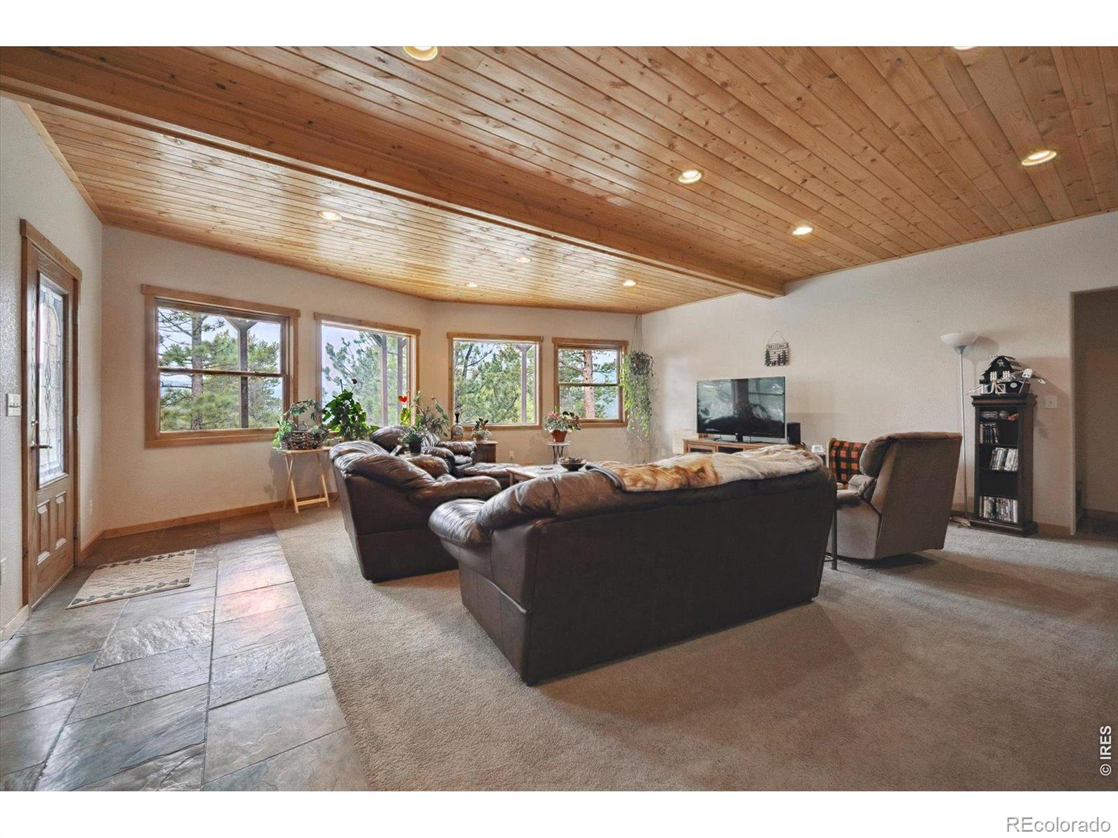MLS Image #22 for 35  pickle point,black hawk, Colorado