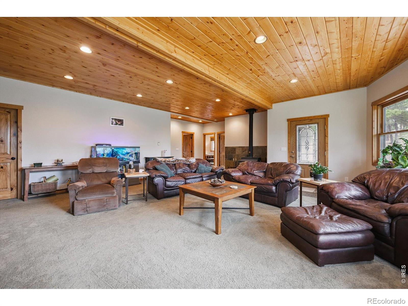 MLS Image #23 for 35  pickle point,black hawk, Colorado