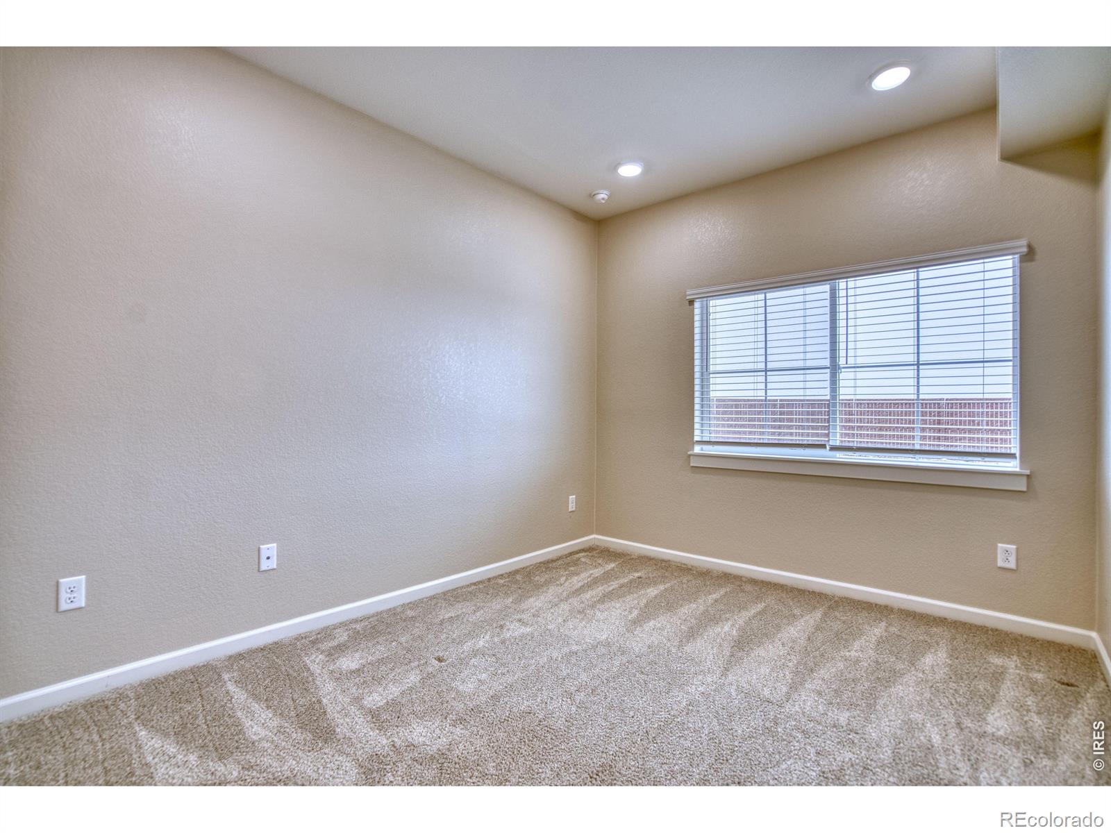 MLS Image #16 for 2417  calais drive,longmont, Colorado