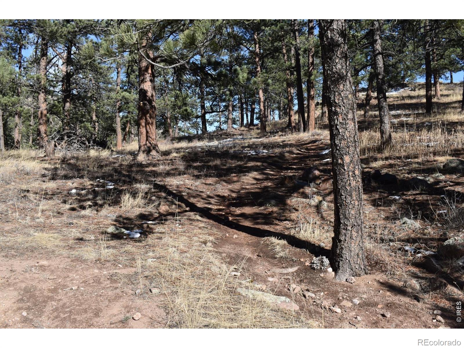 MLS Image #31 for 1477  kiowa road,lyons, Colorado