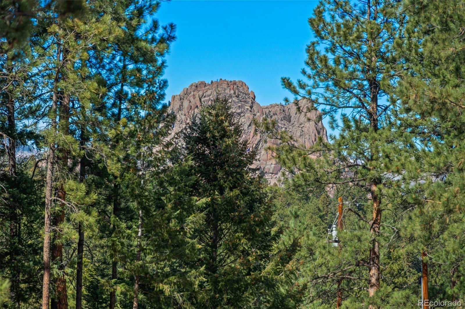 MLS Image #10 for 20202  spring creek trail,pine, Colorado