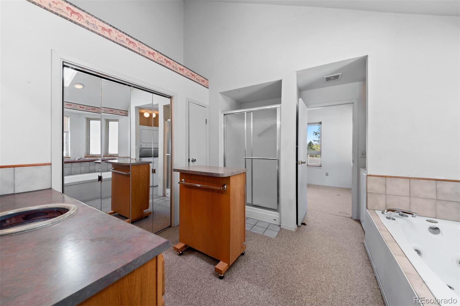 MLS Image #20 for 20202  spring creek trail,pine, Colorado