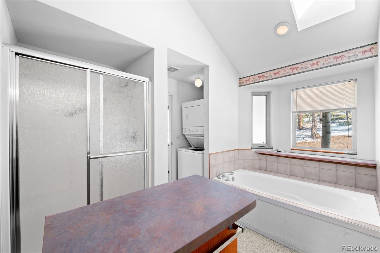 MLS Image #21 for 20202  spring creek trail,pine, Colorado