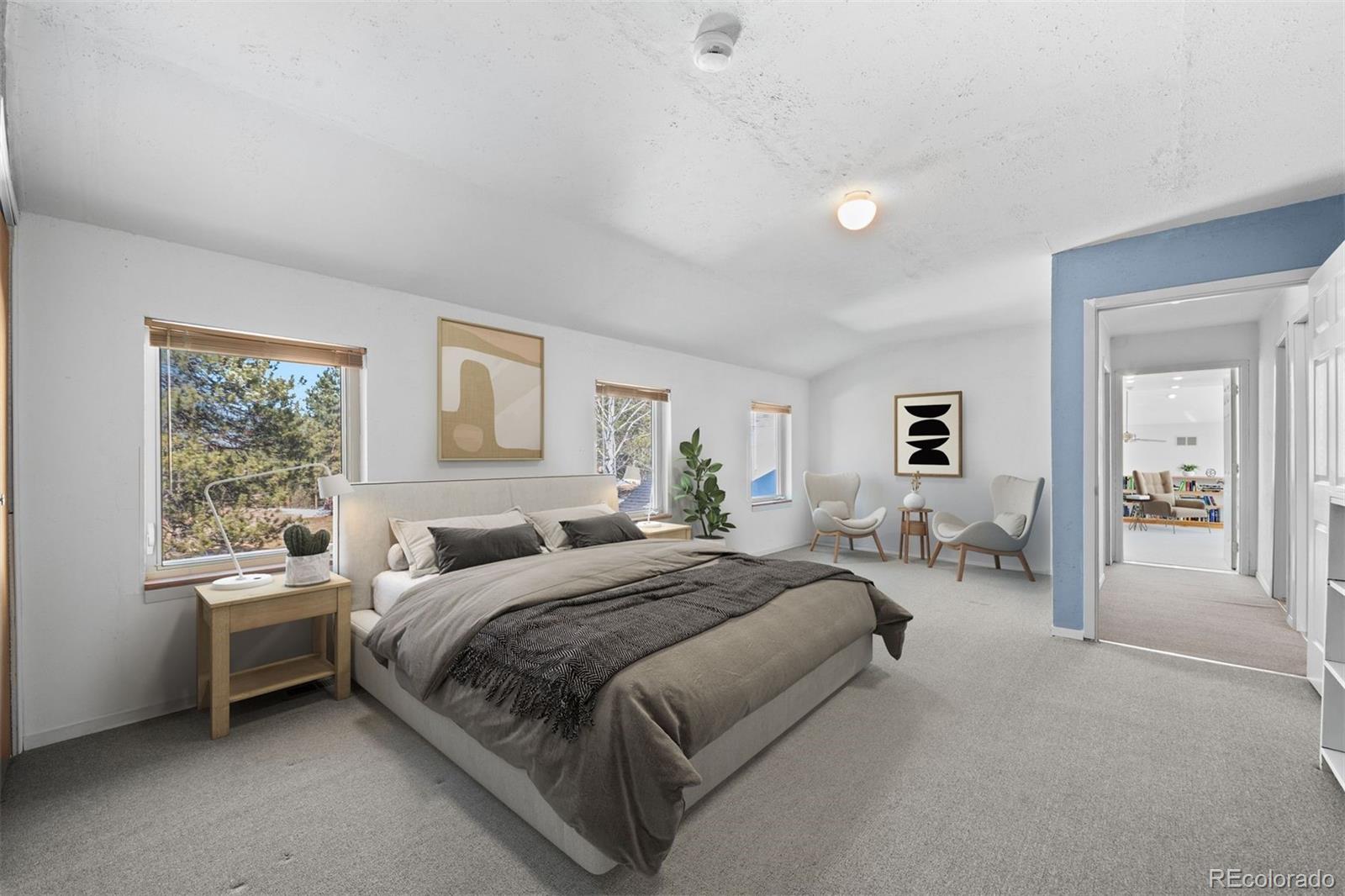 MLS Image #30 for 20202  spring creek trail,pine, Colorado