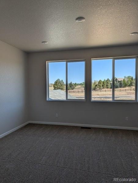MLS Image #6 for 3445  ballinger circle,mead, Colorado