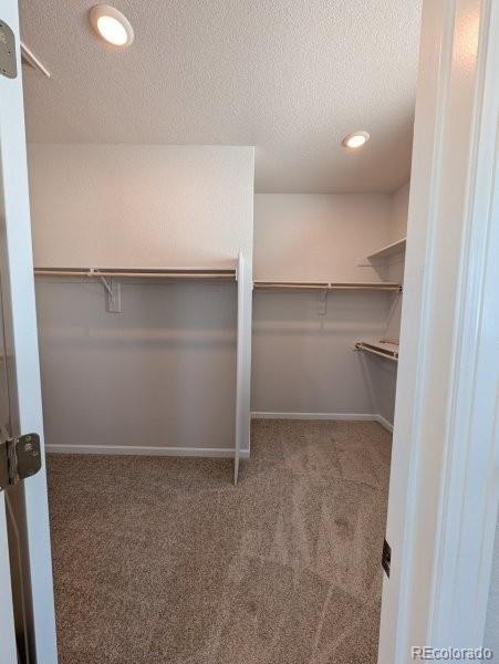 MLS Image #8 for 3445  ballinger circle,mead, Colorado
