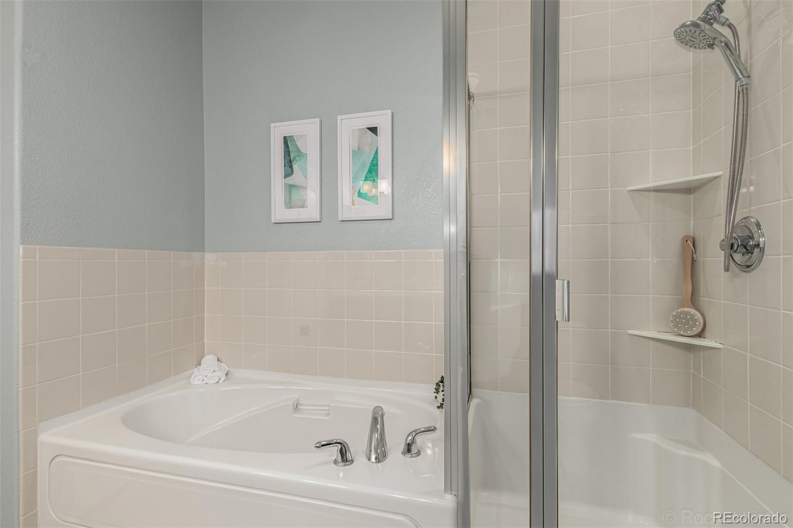 MLS Image #18 for 8614  gold peak drive,highlands ranch, Colorado
