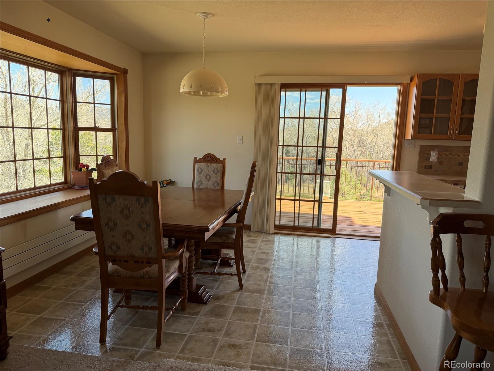 MLS Image #42 for 548  shamrock lane,howard, Colorado
