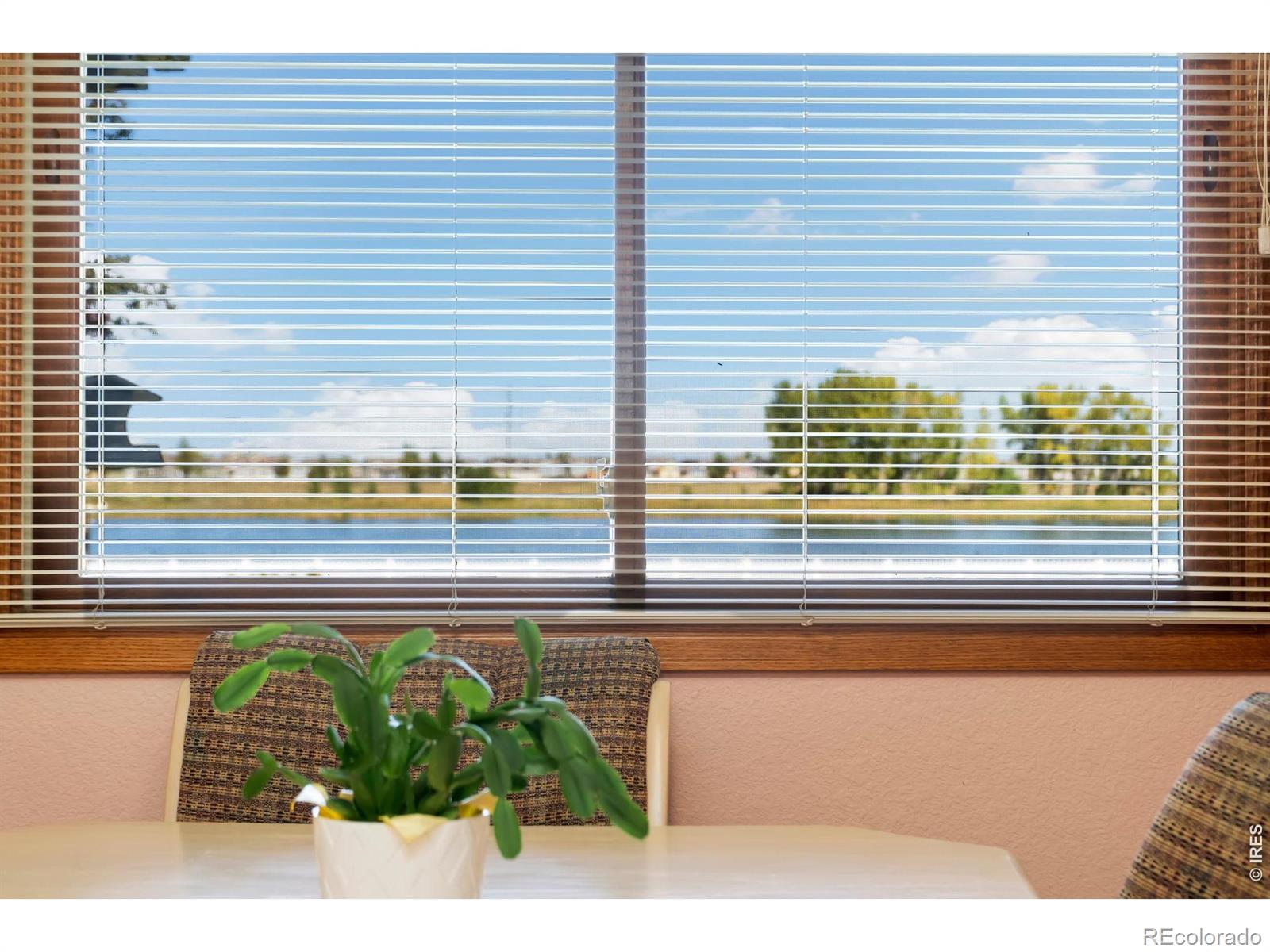 MLS Image #7 for 2238  breckenridge drive,berthoud, Colorado