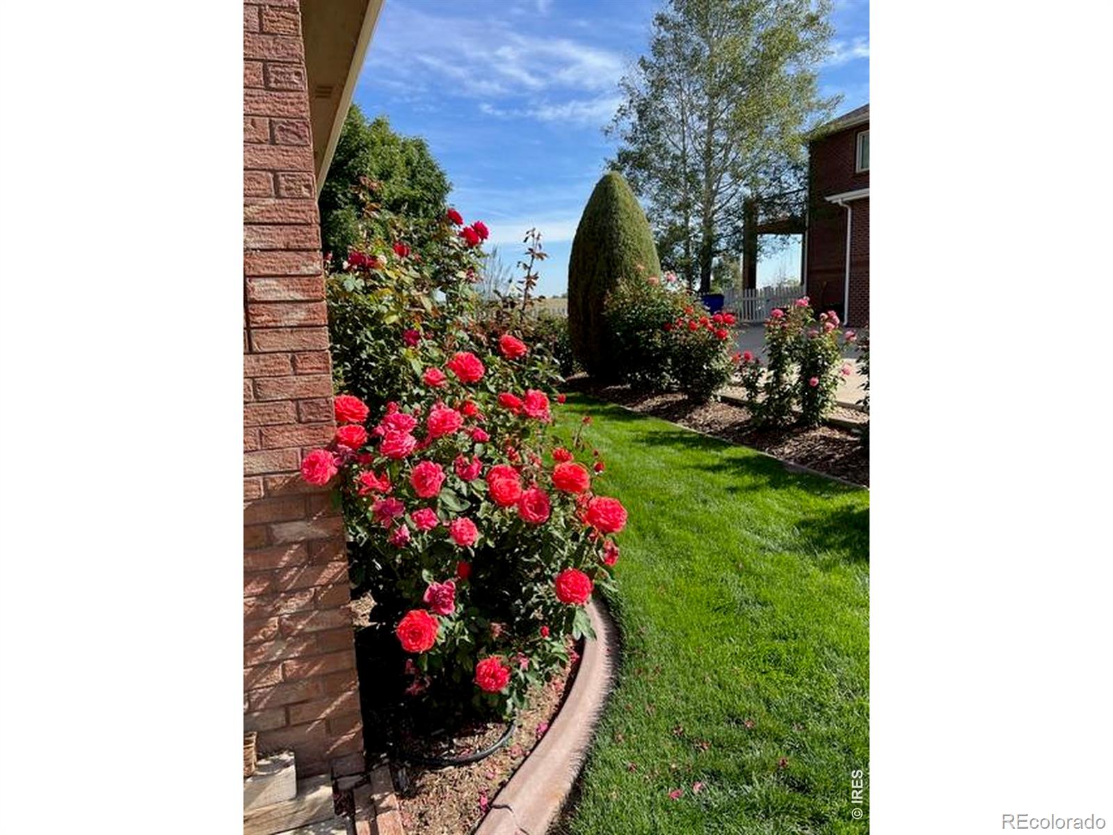MLS Image #9 for 2238  breckenridge drive,berthoud, Colorado
