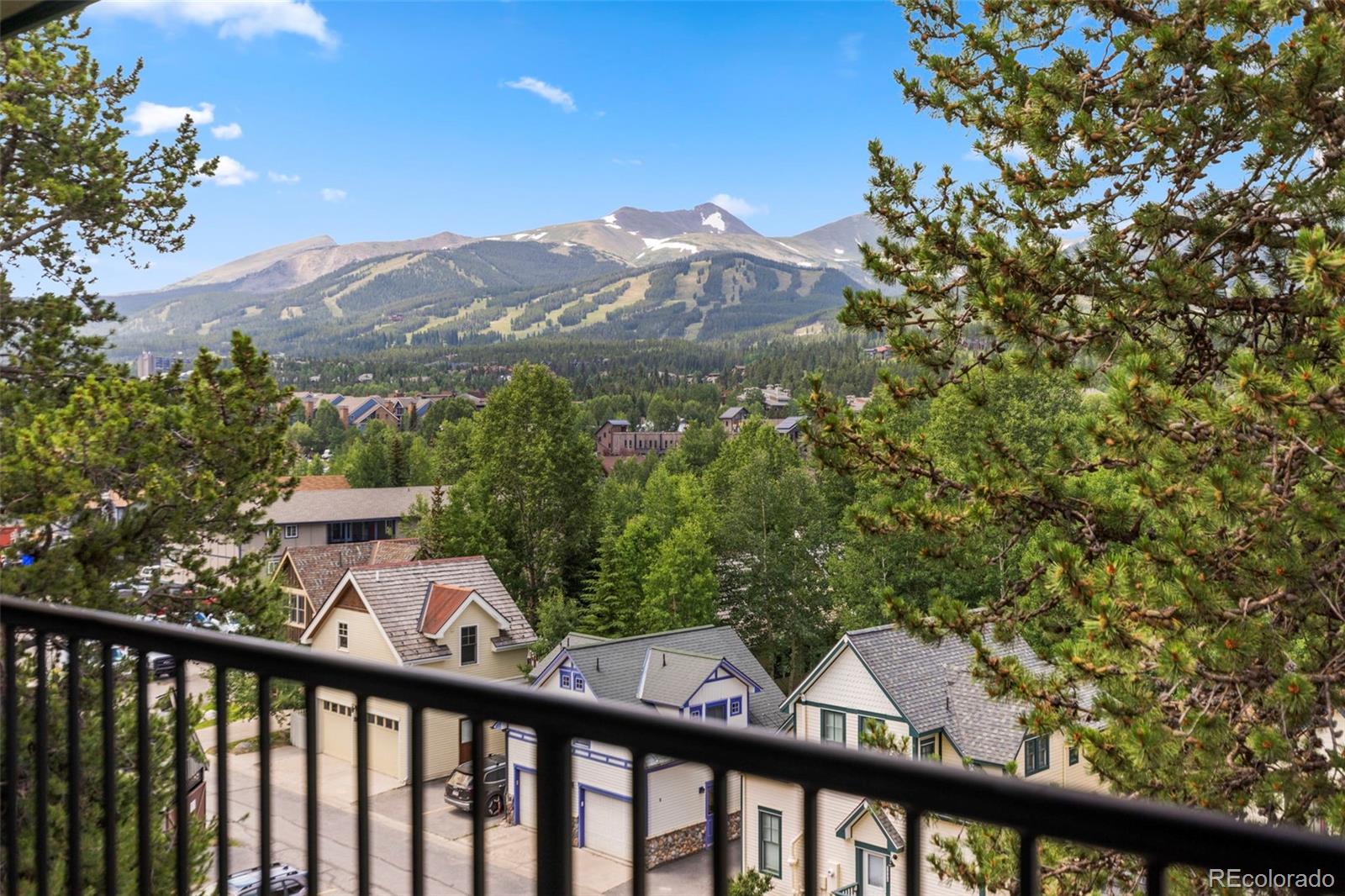MLS Image #3 for 301 n french street,breckenridge, Colorado