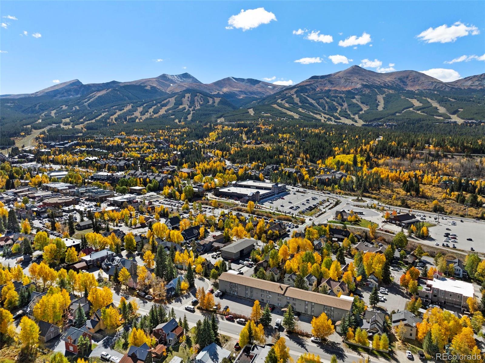 MLS Image #4 for 301 n french street,breckenridge, Colorado