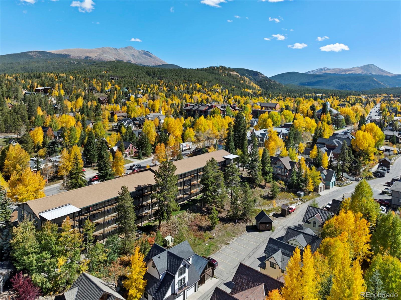 MLS Image #5 for 301 n french street,breckenridge, Colorado