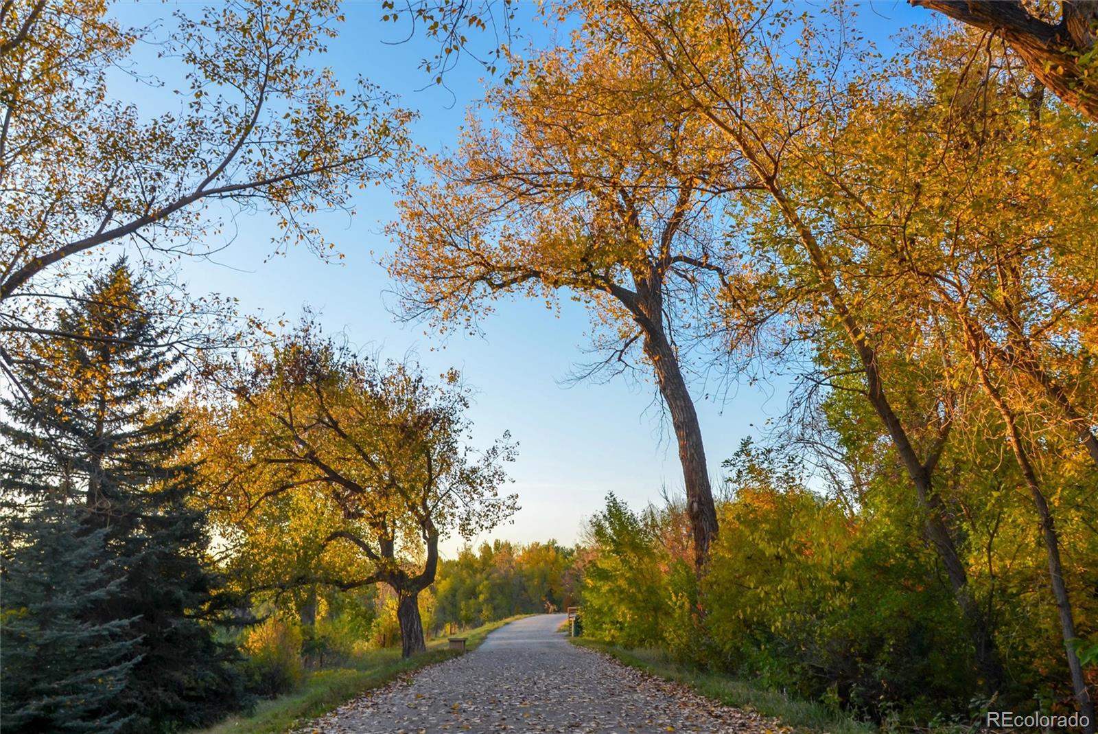 MLS Image #40 for 5959 s humboldt court,centennial, Colorado