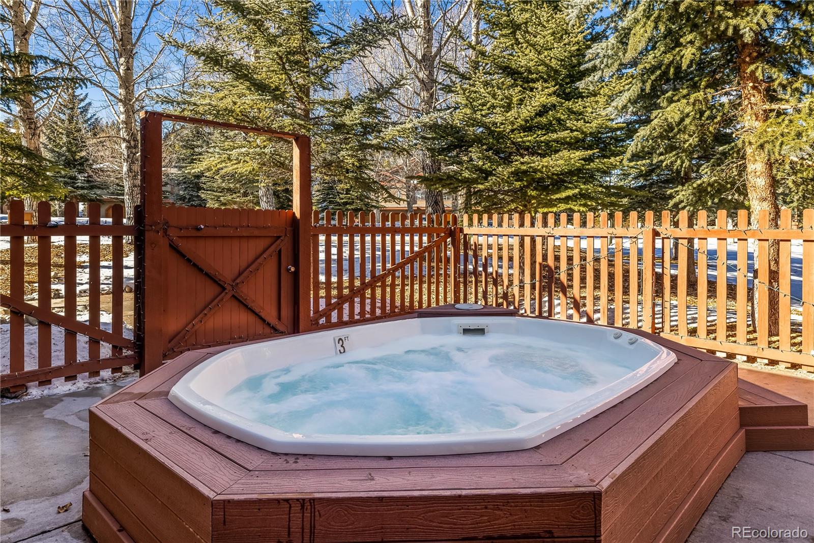 MLS Image #26 for 253  pelican circle 1604,breckenridge, Colorado