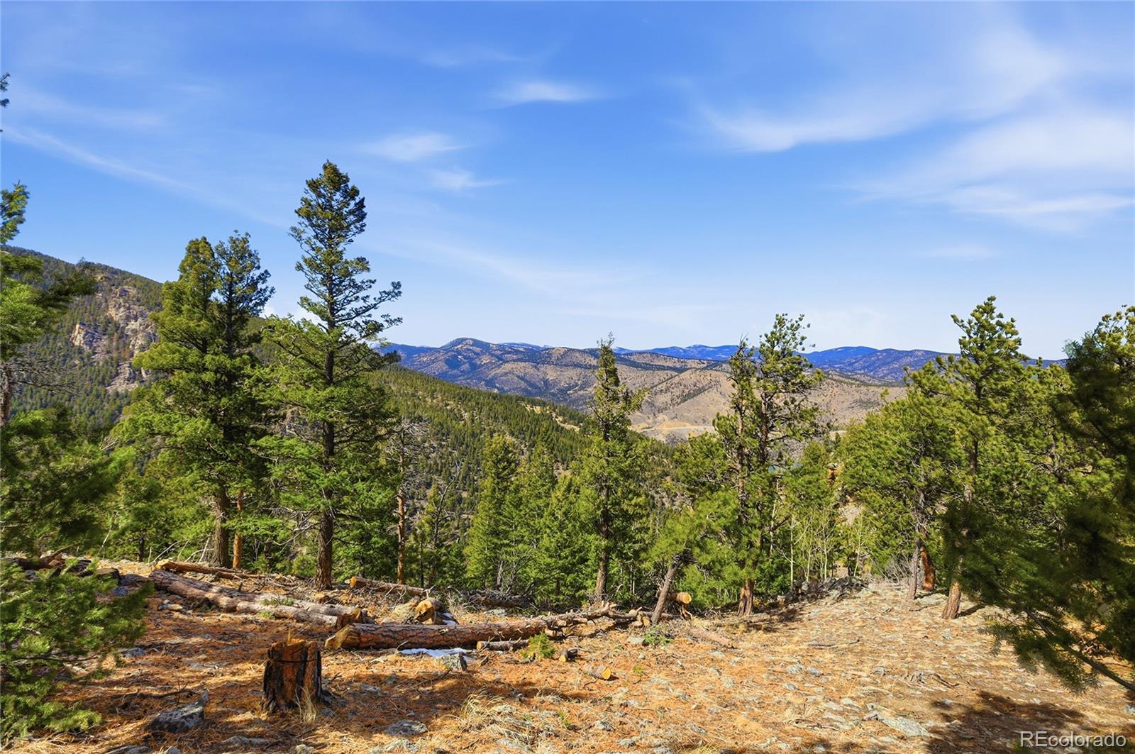 MLS Image #35 for 2080  santa fe mountain road,evergreen, Colorado