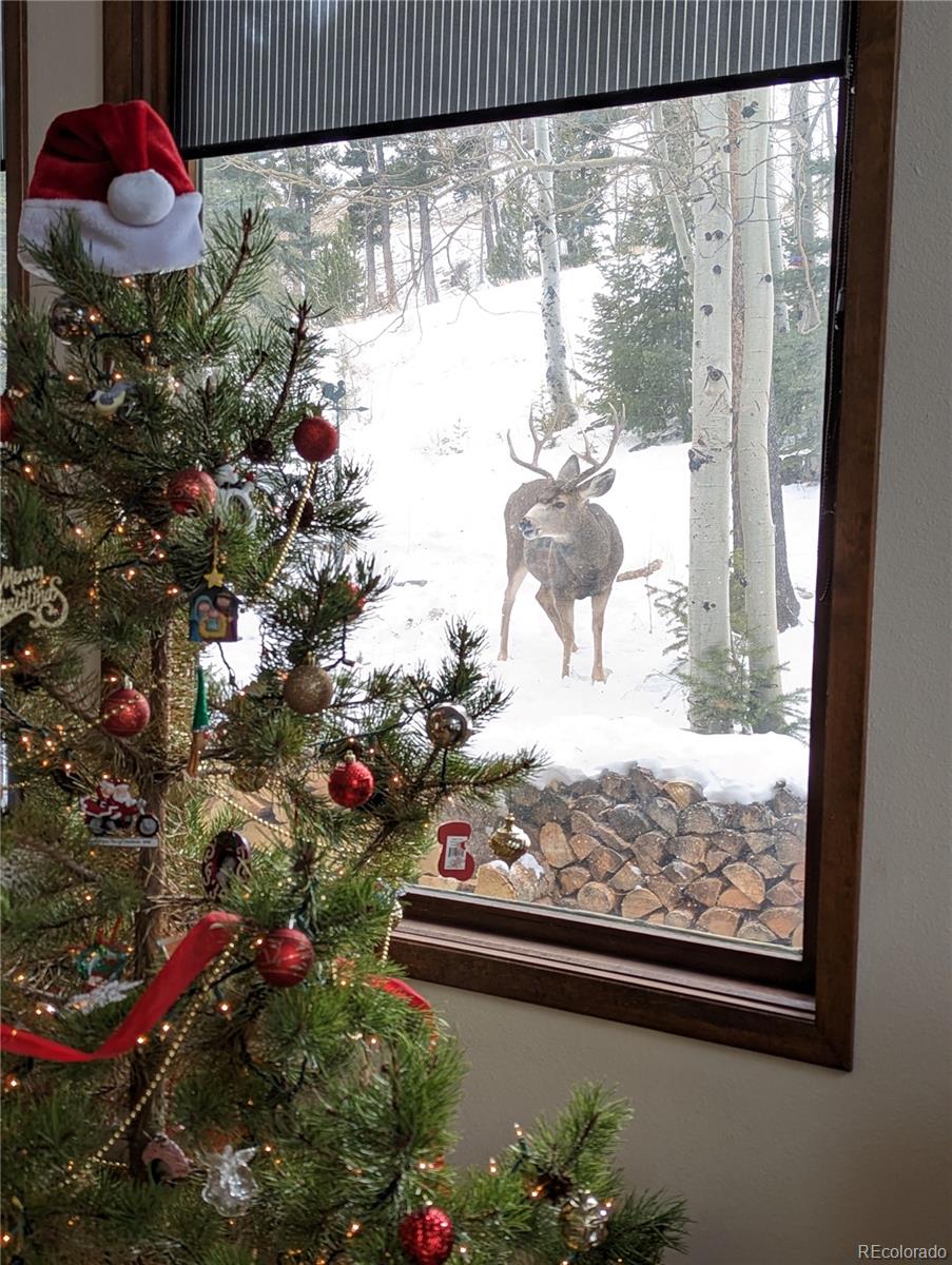 MLS Image #48 for 2080  santa fe mountain road,evergreen, Colorado