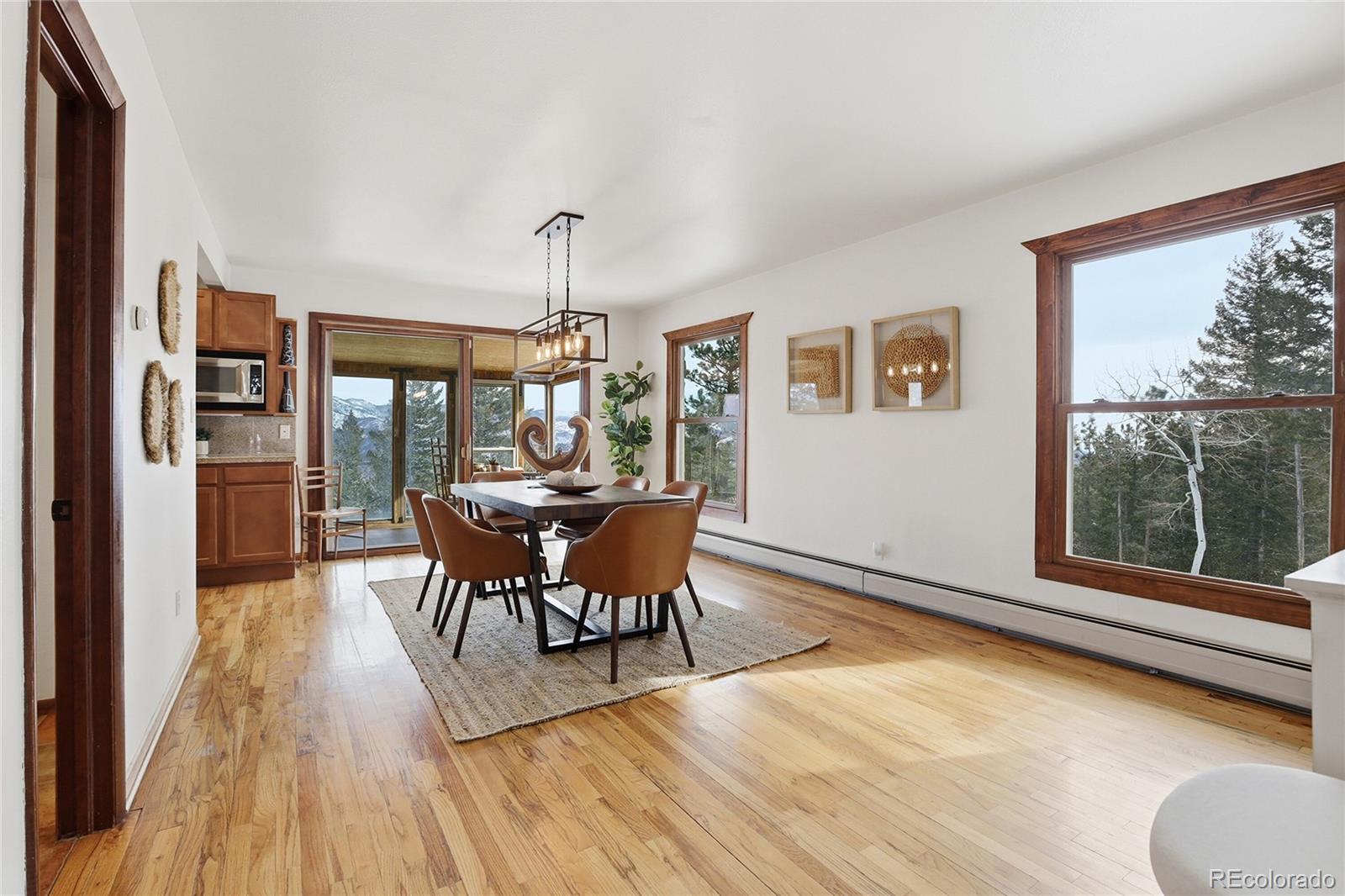 MLS Image #5 for 2080  santa fe mountain road,evergreen, Colorado