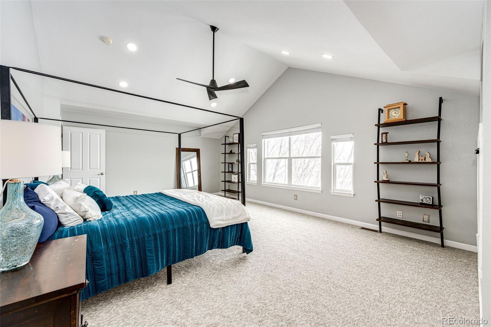 MLS Image #26 for 12078  pine top street,parker, Colorado