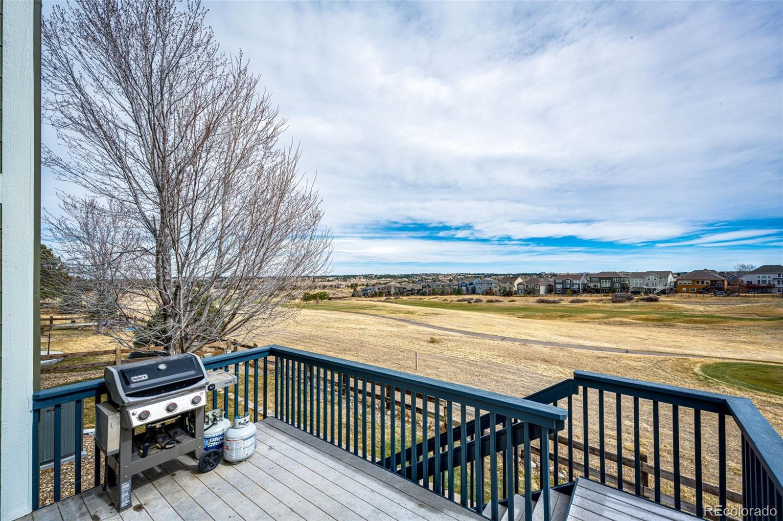 MLS Image #6 for 12078  pine top street,parker, Colorado