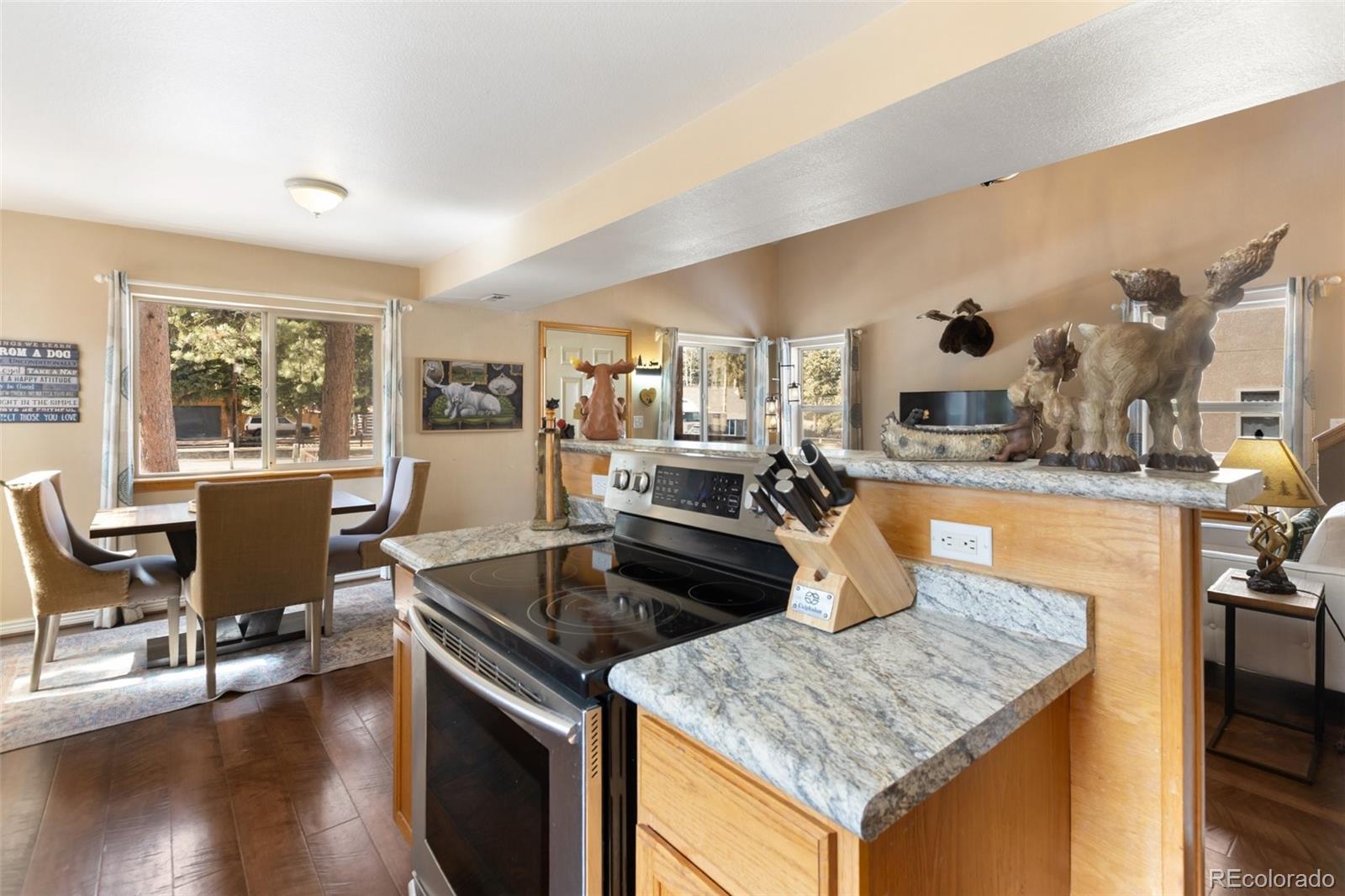 MLS Image #21 for 509 n center street,woodland park, Colorado