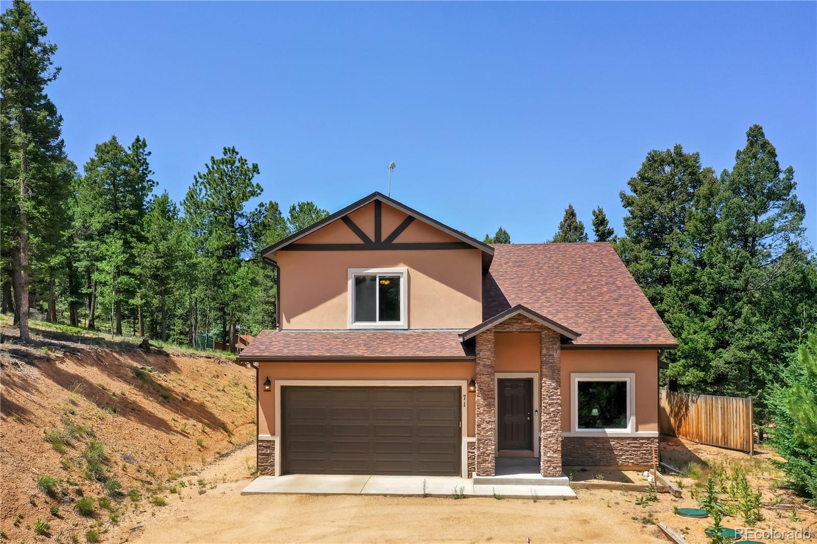 MLS Image #0 for 71  mt elbert drive,florissant, Colorado