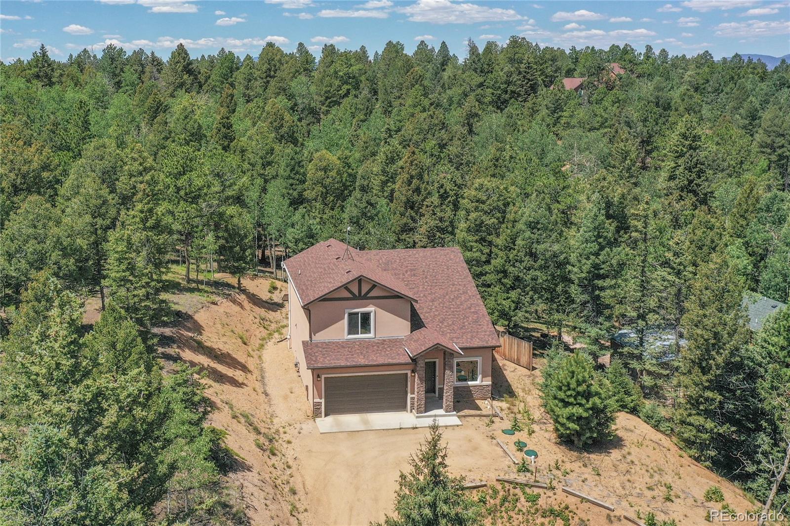 MLS Image #11 for 71  mt elbert drive,florissant, Colorado