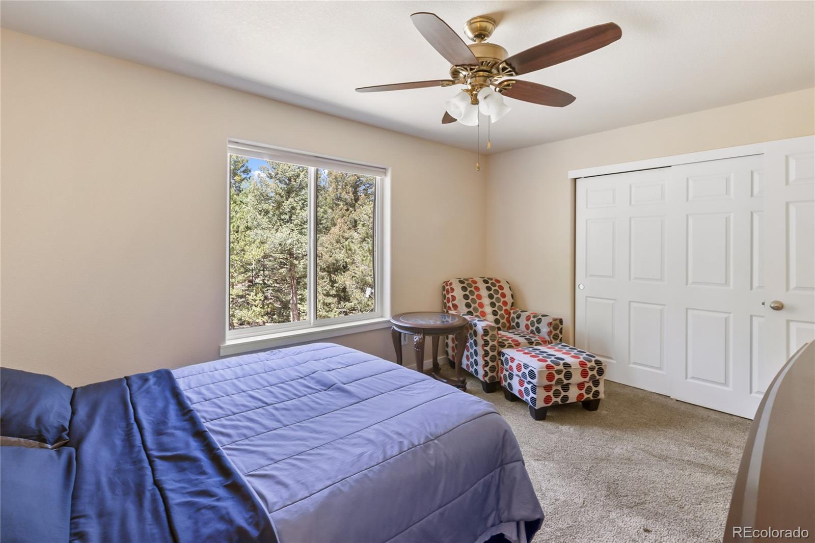 MLS Image #45 for 71  mt elbert drive,florissant, Colorado