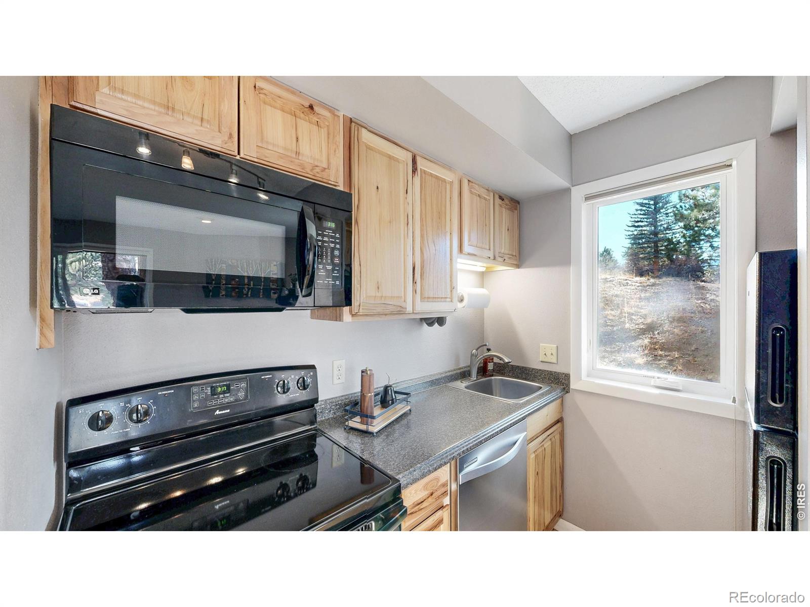 MLS Image #10 for 200  riverside drive,estes park, Colorado