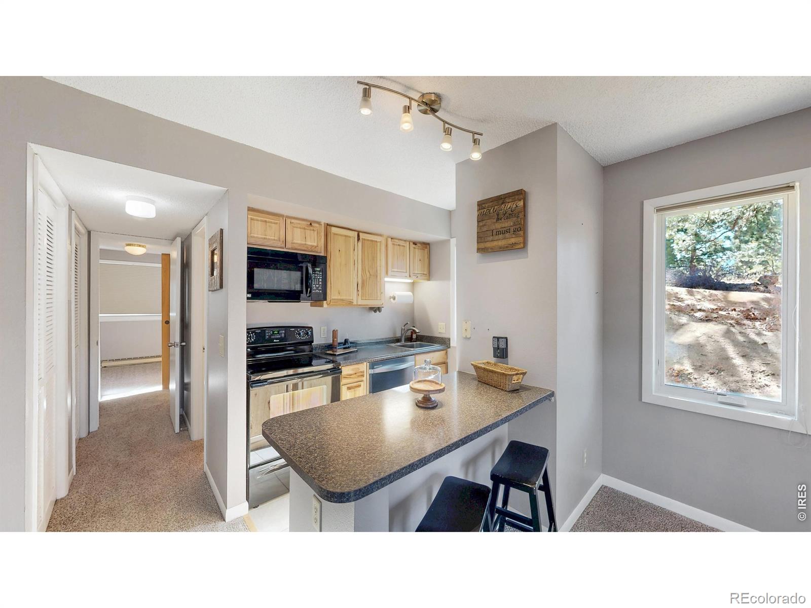 MLS Image #5 for 200  riverside drive,estes park, Colorado