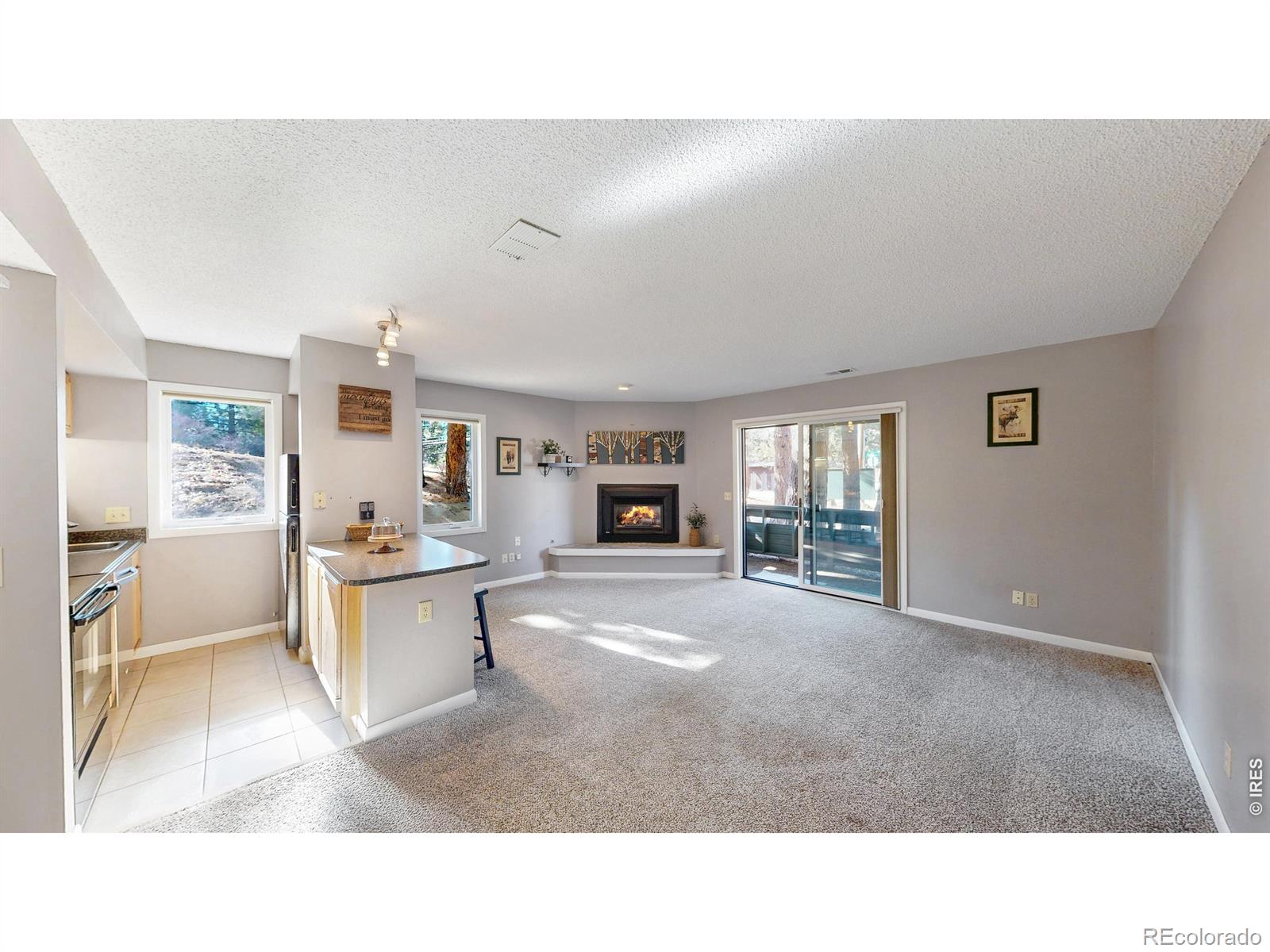 MLS Image #6 for 200  riverside drive,estes park, Colorado