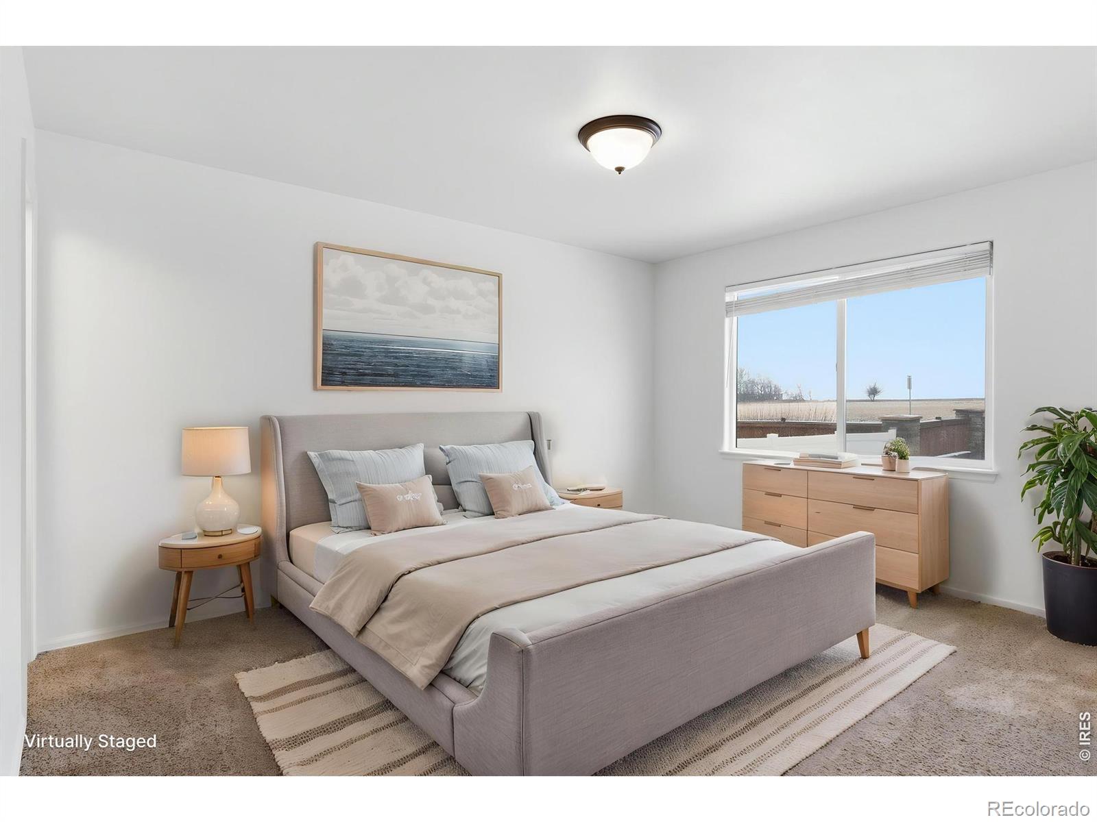 MLS Image #17 for 1070  mt oxford avenue,severance, Colorado