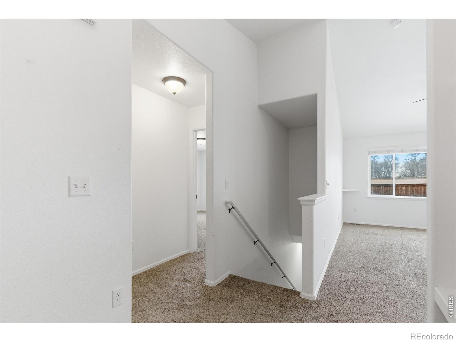 MLS Image #27 for 1070  mt oxford avenue,severance, Colorado