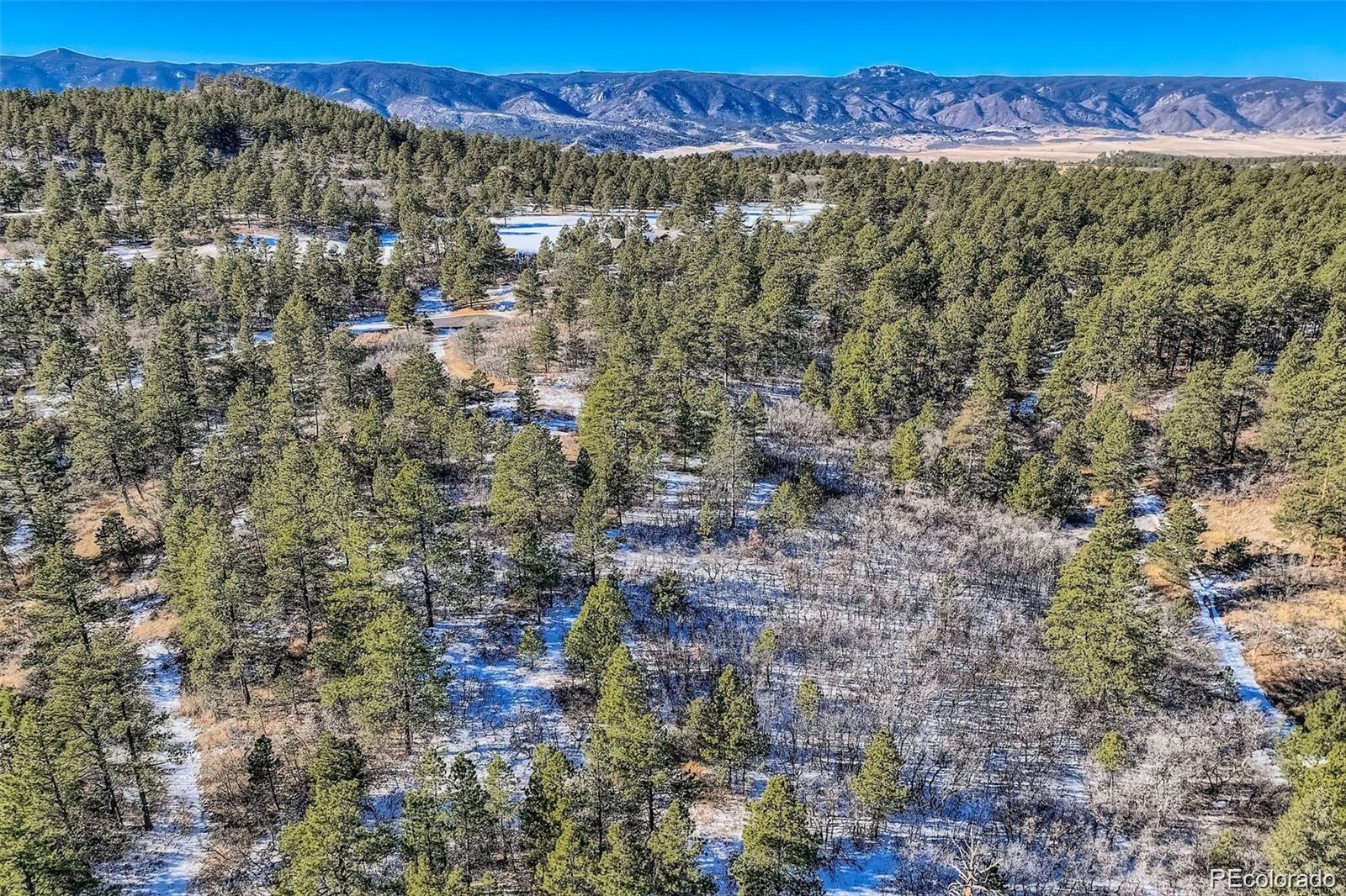 MLS Image #4 for 1371  grayhawk place,larkspur, Colorado