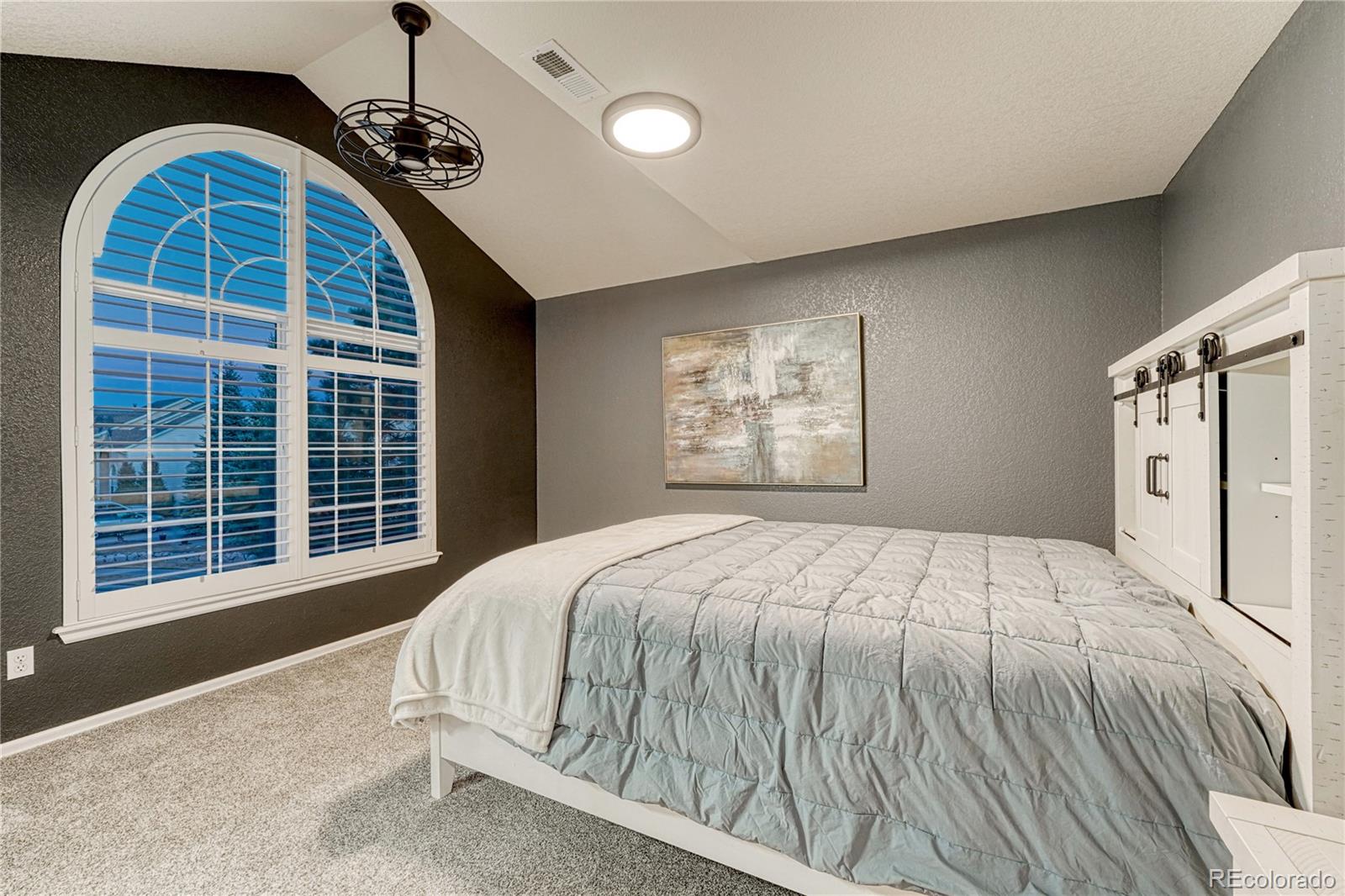 MLS Image #20 for 1301  hazeline lake drive,colorado springs, Colorado