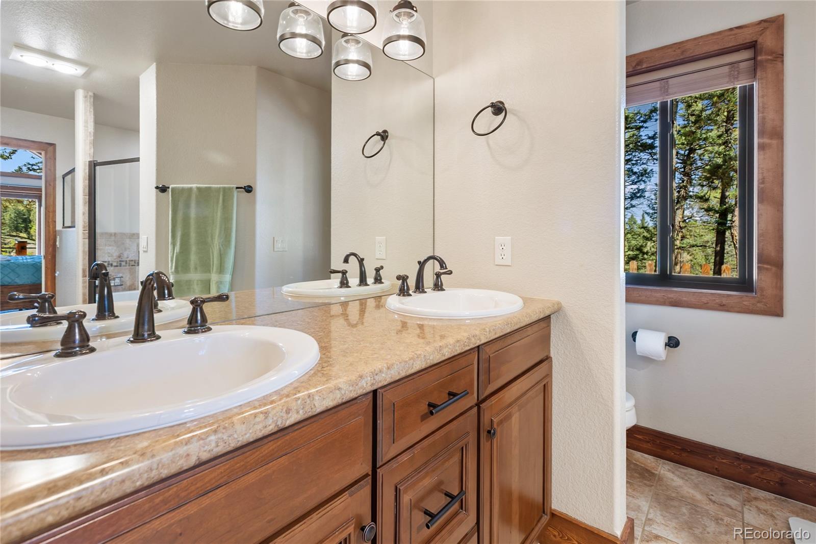MLS Image #12 for 80  feldspar road,florissant, Colorado